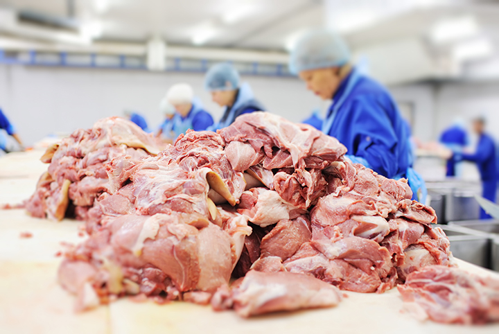Food Safety in Food Processing Plants