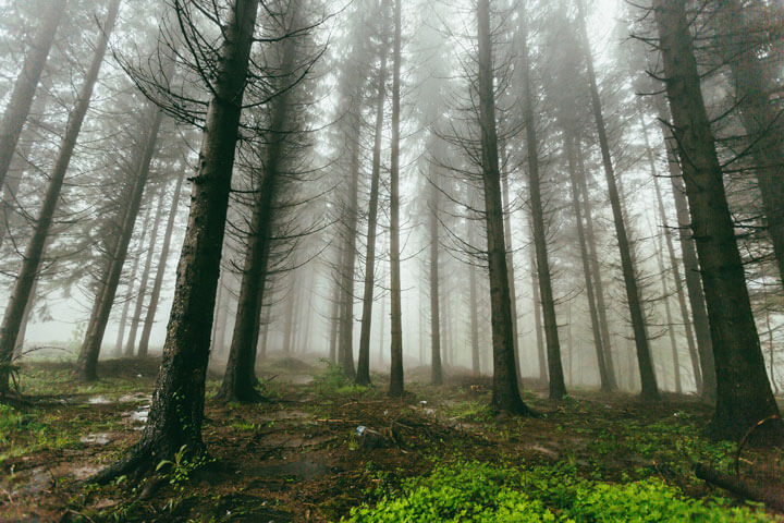 BSE Climate Change Could Cost Us Our Jobs