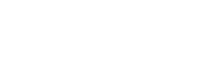 BSE Big Shine Energy Logo White